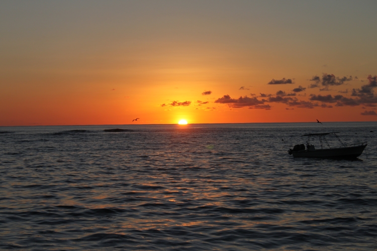 Bird Island - Sonnenaufgang