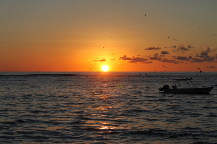 Bird Island - Sonnenaufgang