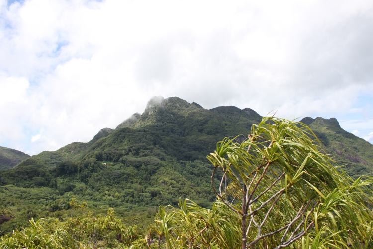 Mt. Seychellois  und Trois Frères