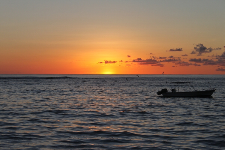 Bird Island - Sunrise