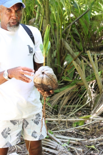 Bird Island - Nature Guide