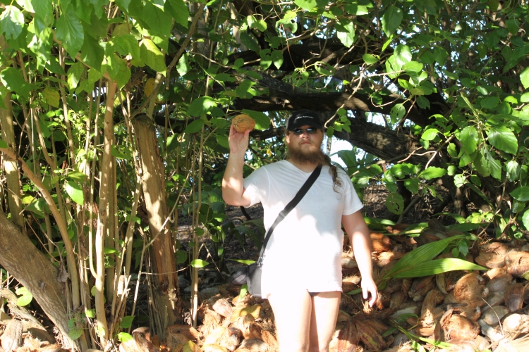 Opening a coconut