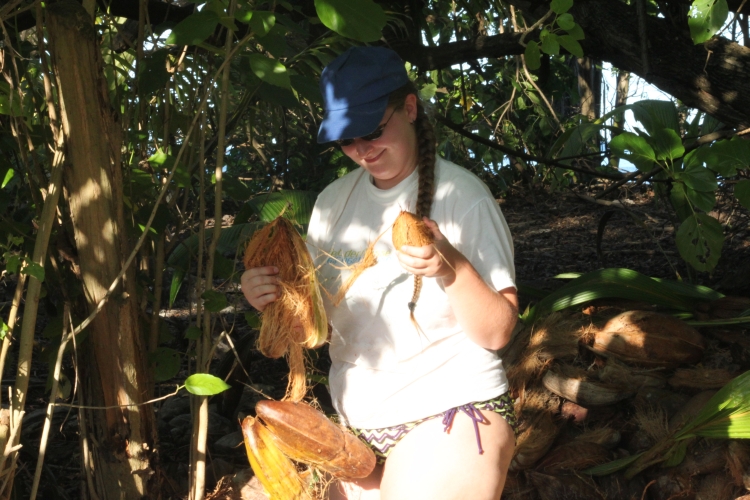 Opening a coconut