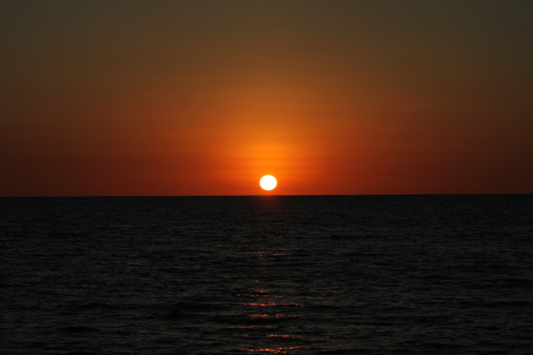 Bird Island - Sunset