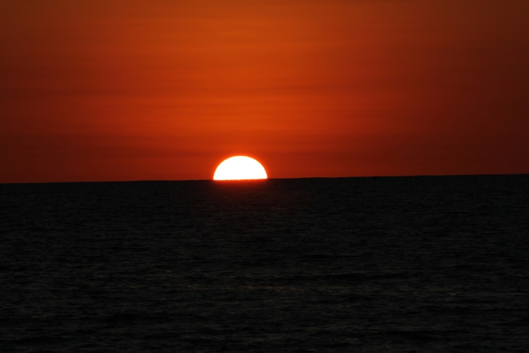 Bird Island - Sunset