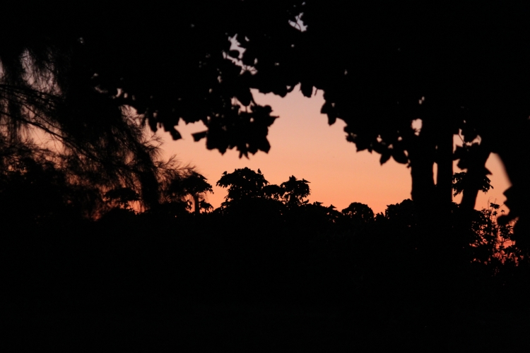 Bird Island - Sunset